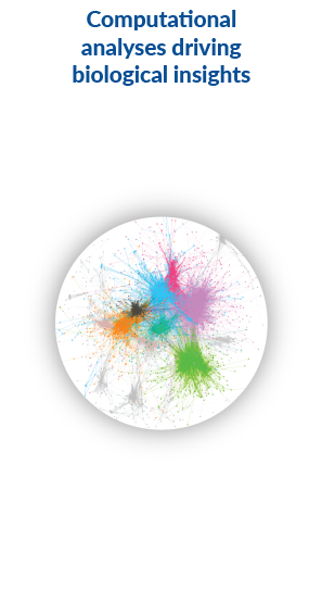 Approach Graphic Computational Analyses