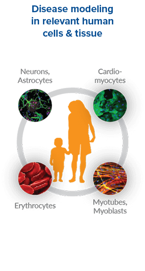 Disease modeling in relevant human cells & tissue