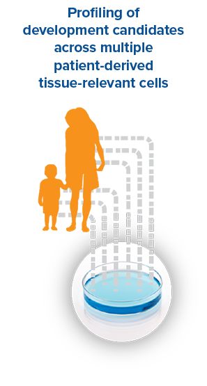 Profiling of development candidates across multiple patient-derived tissue-relevant cells
