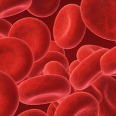 red blood cells